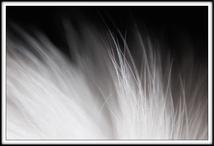 Week 5 - Mystery Macro