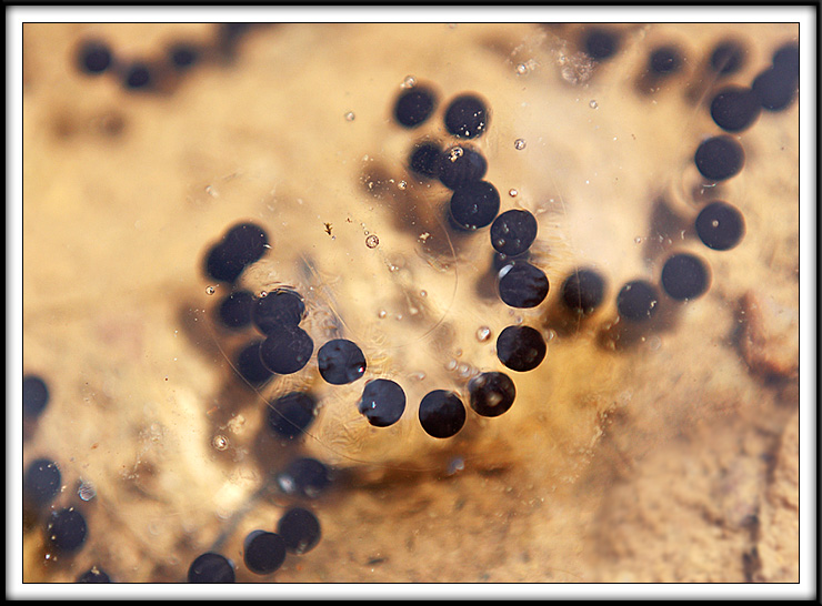 Week 6 - Mystery Macro #2