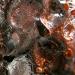 Abstract Macro #2