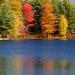 Fall Reflections