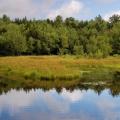 Dunham Reservoir