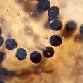 Week 6 - Mystery Macro #2
